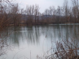 Anfüttern auf Karpfen Angeln auf Karpfen