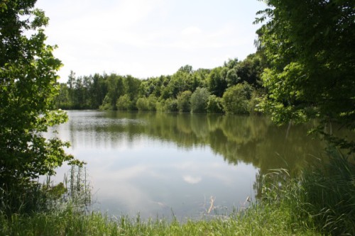 49+ Karpfen Teich Holland, Toms creek, the best place for fishing